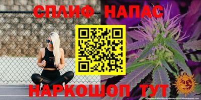 PSILOCYBIN Кулебаки