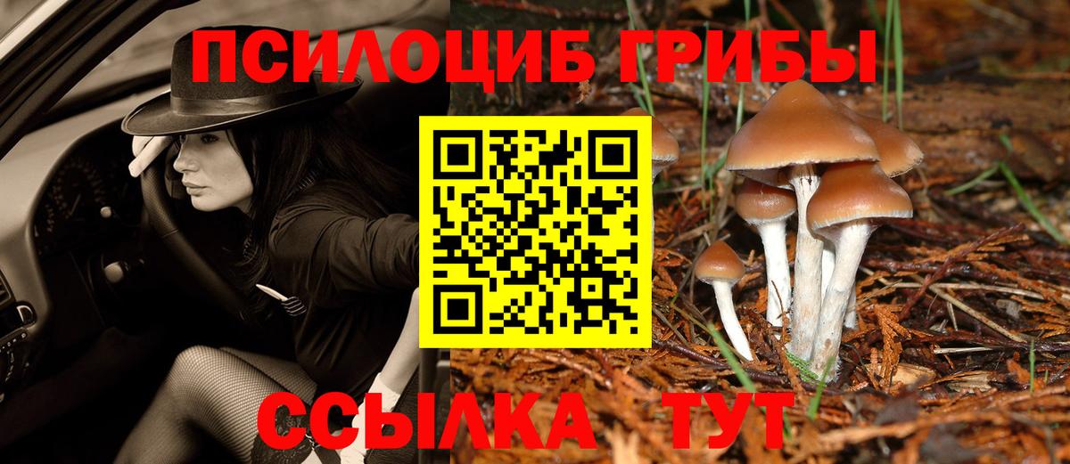 Фролово  Псилоцибиновые грибы Psilocybe  Вход с VPN 